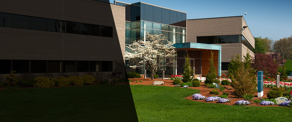 Darlington Landscapers