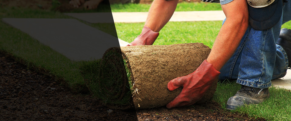 Darlington Landscapers